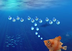 fish 2